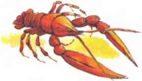 Иллюстрация к книге — Пять забавных медвежат [i_019.jpg]