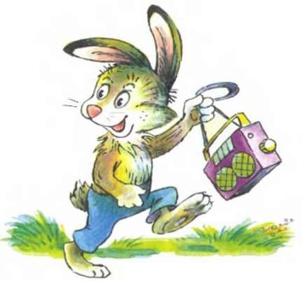 Иллюстрация к книге — Пять забавных медвежат [i_034.jpg]