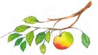 Иллюстрация к книге — Пять забавных медвежат [i_054.jpg]