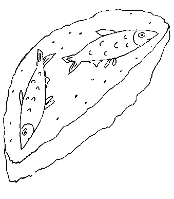 Иллюстрация к книге — Малыш и река [i_023.jpg]