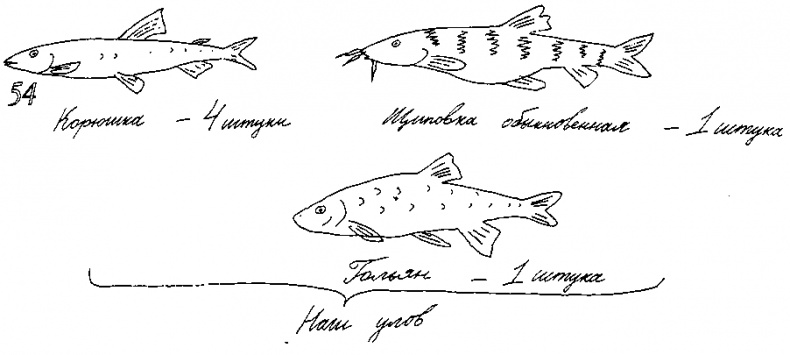 Иллюстрация к книге — Малыш и река [i_064.jpg]