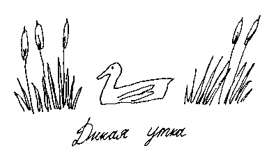 Иллюстрация к книге — Малыш и река [i_083.jpg]