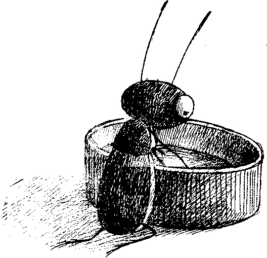 Иллюстрация к книге — Шедевр [i_013.jpg]