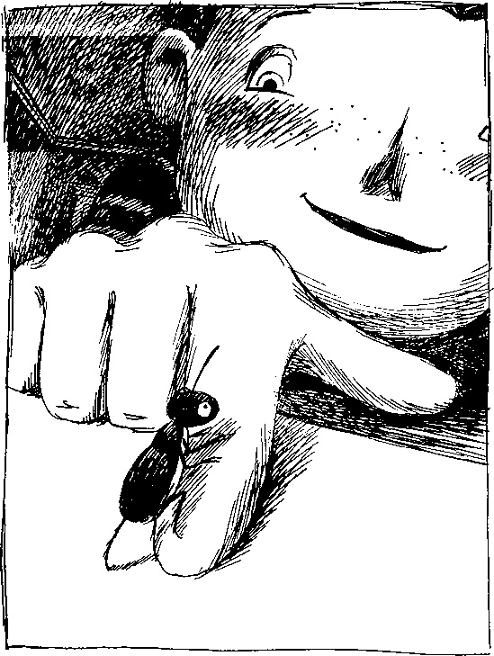 Иллюстрация к книге — Шедевр [i_023.jpg]