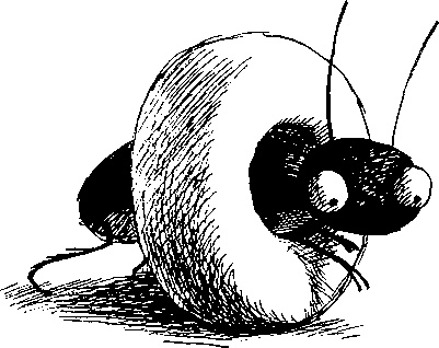 Иллюстрация к книге — Шедевр [i_077.jpg]