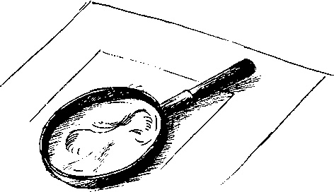 Иллюстрация к книге — Шедевр [i_080.jpg]