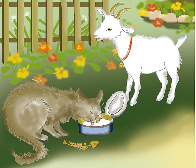 Иллюстрация к книге — Одомашнивание кота Мурзика [i_002.jpg]