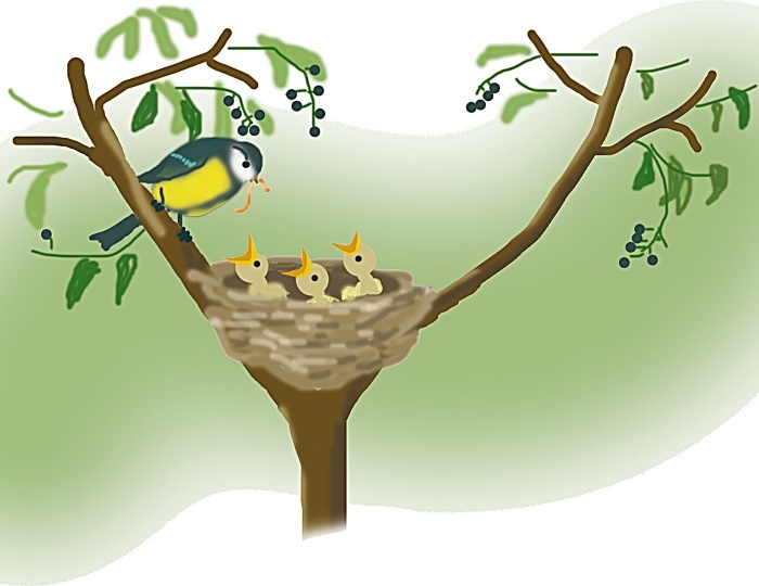 Иллюстрация к книге — Одомашнивание кота Мурзика [i_004.jpg]