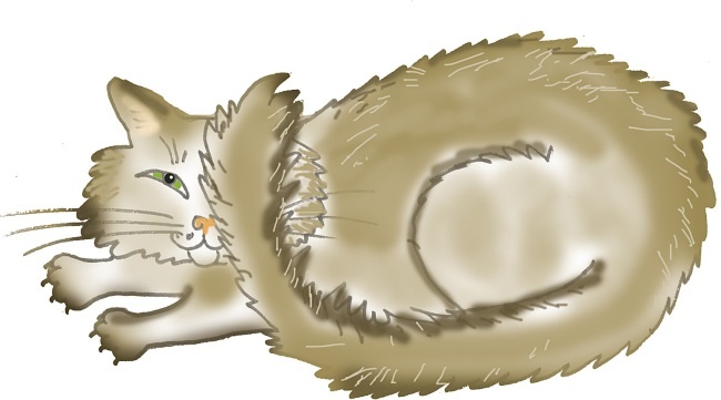 Иллюстрация к книге — Одомашнивание кота Мурзика [i_009.jpg]