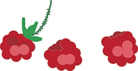 Иллюстрация к книге — Одомашнивание кота Мурзика [i_016.jpg]