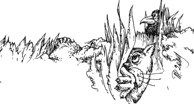 Иллюстрация к книге — Птичка Пеночка с пеньком [i_003.jpg]