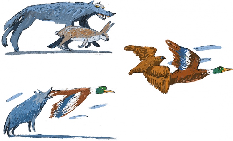 Иллюстрация к книге — Выше некуда! Новогодняя сказка [i_097.jpg]