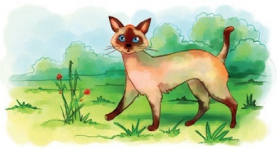 Иллюстрация к книге — Год Принцессы Букашки [i_019.jpg]