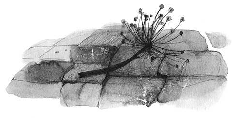 Иллюстрация к книге — Вечный Тук [i_059.jpg]