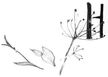 Иллюстрация к книге — Вечный Тук [i_095.jpg]