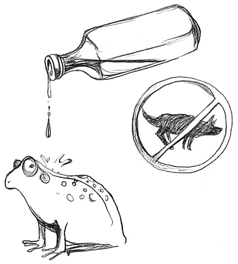 Иллюстрация к книге — Вечный Тук [i_110.jpg]