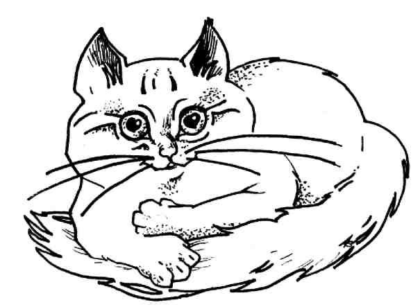 Иллюстрация к книге — Кошки как дети [i_006.jpg]