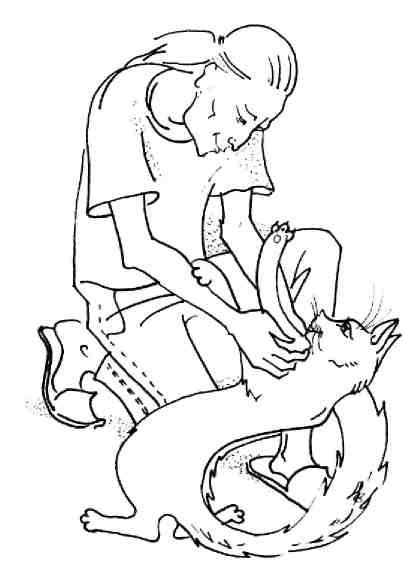 Иллюстрация к книге — Кошки как дети [i_007.jpg]