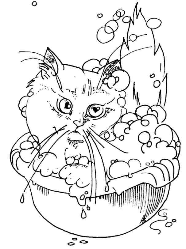 Иллюстрация к книге — Кошки как дети [i_012.jpg]