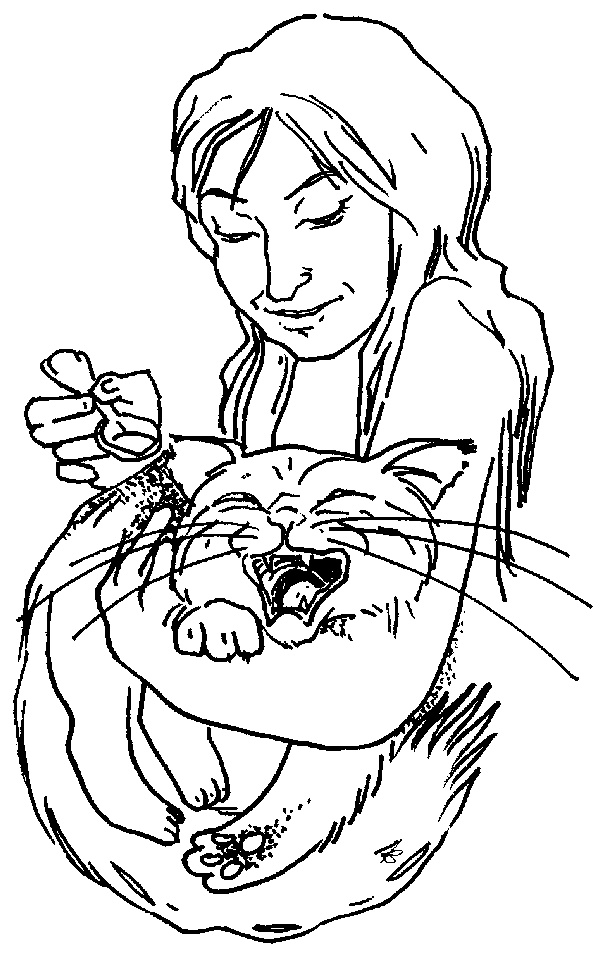 Иллюстрация к книге — Кошки как дети [i_013.jpg]