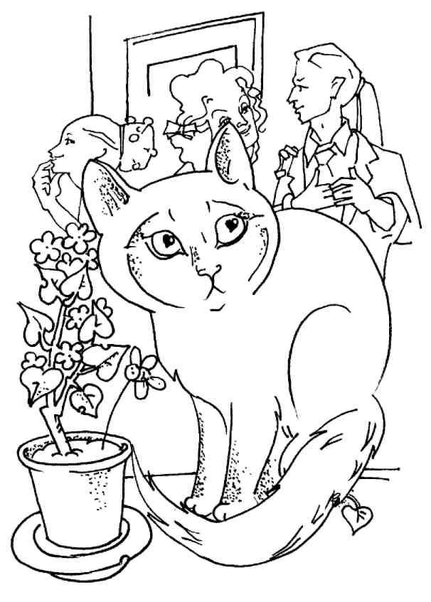 Иллюстрация к книге — Кошки как дети [i_017.jpg]