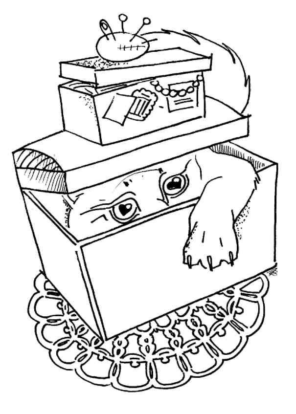 Иллюстрация к книге — Кошки как дети [i_021.jpg]