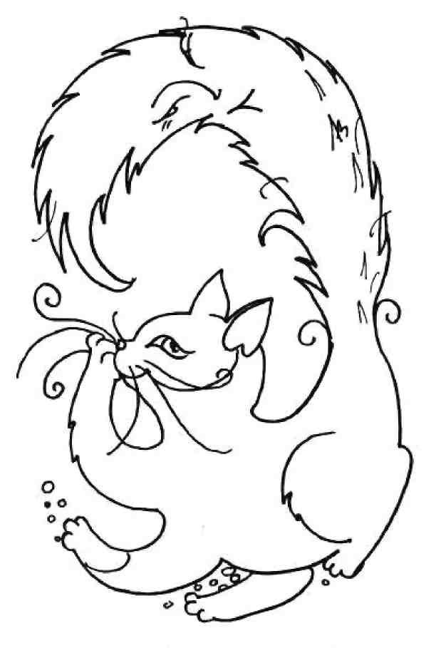 Иллюстрация к книге — Кошкин мир (сборник) [img_23.jpg]