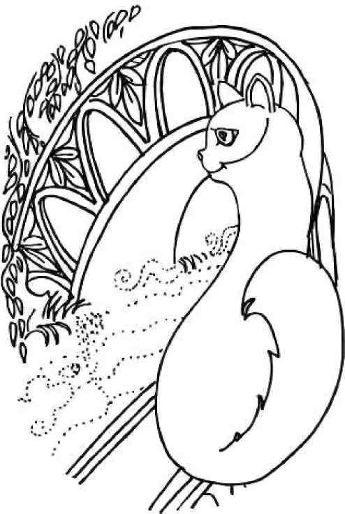 Иллюстрация к книге — Кошкин мир (сборник) [img_3.jpg]