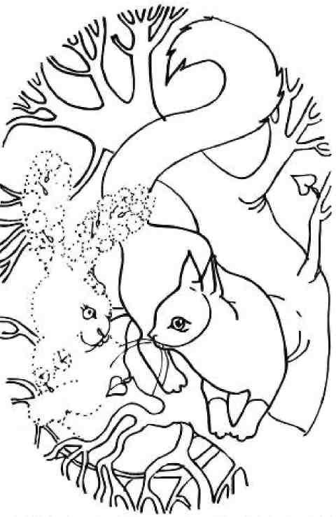 Иллюстрация к книге — Кошкин мир (сборник) [img_34.jpg]