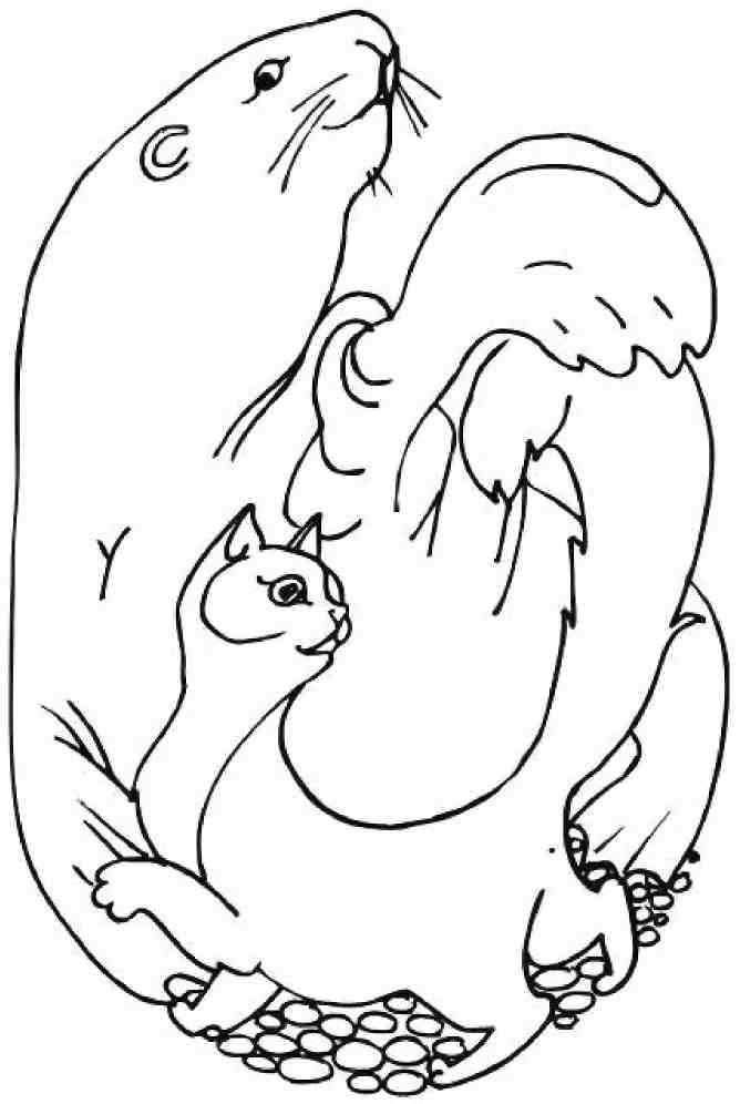 Иллюстрация к книге — Кошкин мир (сборник) [img_6.jpg]