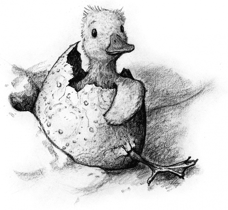 Иллюстрация к книге — Пасхальный Кролик, или Путешествие к центру Земли [i_006.jpg]