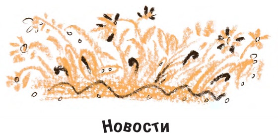 Иллюстрация к книге — Король-Рысь [i_018.jpg]