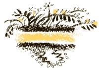 Иллюстрация к книге — Король-Рысь [i_026.jpg]