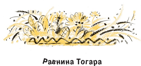 Иллюстрация к книге — Король-Рысь [i_033.jpg]