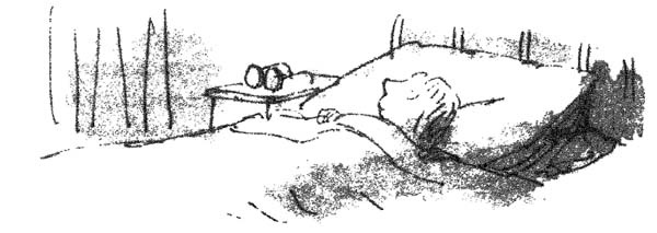 Иллюстрация к книге — БДВ, или Большой и Добрый Великан [i_004.jpg]