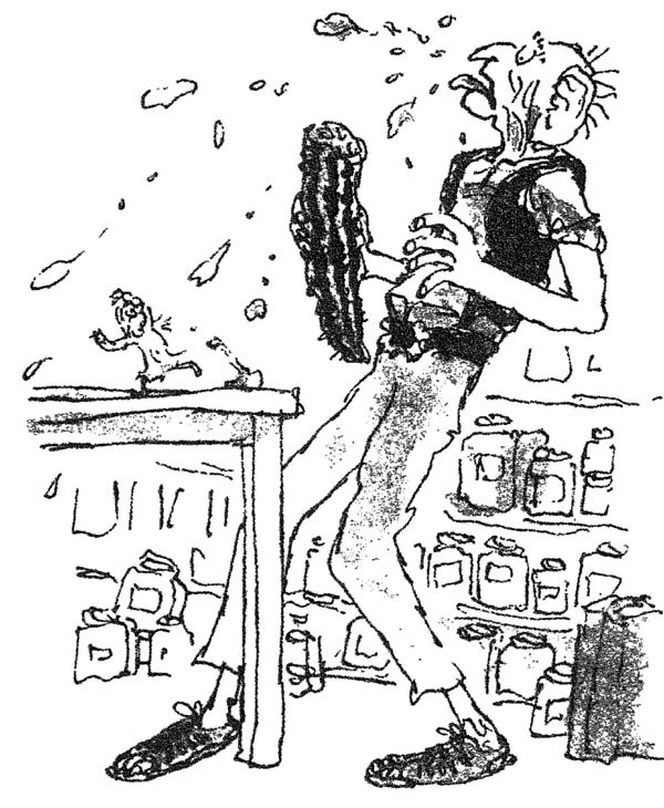 Иллюстрация к книге — БДВ, или Большой и Добрый Великан [i_016.jpg]