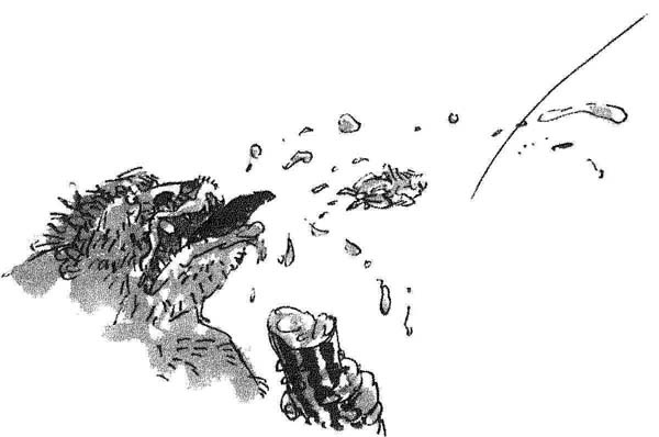 Иллюстрация к книге — БДВ, или Большой и Добрый Великан [i_019.jpg]