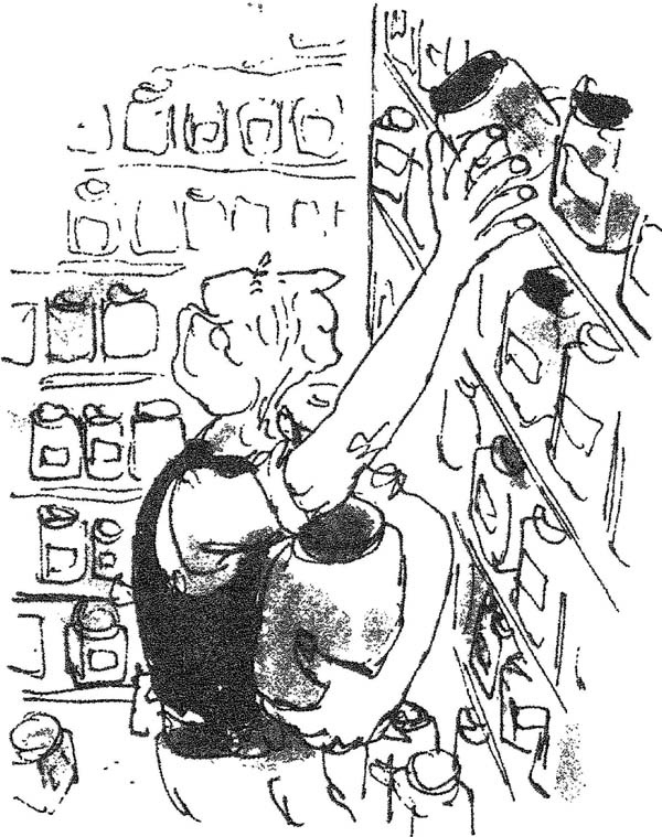 Иллюстрация к книге — БДВ, или Большой и Добрый Великан [i_046.jpg]