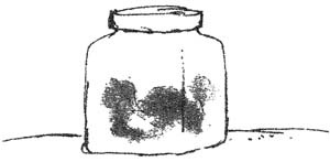 Иллюстрация к книге — БДВ, или Большой и Добрый Великан [i_048.jpg]