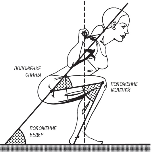 Иллюстрация к книге — Тоньше, Суше, Сильнее. Простая наука о построении женского тела [_33.jpg]