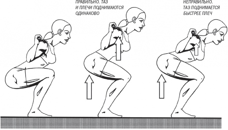 Иллюстрация к книге — Тоньше, Суше, Сильнее. Простая наука о построении женского тела [_34.jpg]