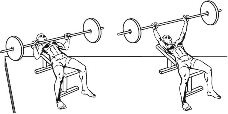 Иллюстрация к книге — Тоньше, Суше, Сильнее. Простая наука о построении женского тела [_38.jpg]