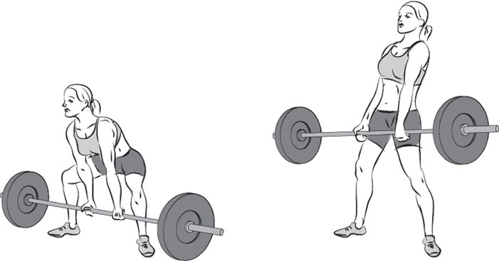 Иллюстрация к книге — Тоньше, Суше, Сильнее. Простая наука о построении женского тела [_43.jpg]