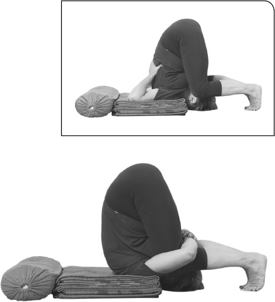 Иллюстрация к книге — Йога: здоровое долголетие, или Как оставаться молодым и бодрым [_104.jpg]