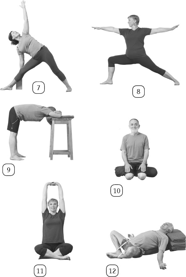 Иллюстрация к книге — Йога: здоровое долголетие, или Как оставаться молодым и бодрым [_115.jpg]
