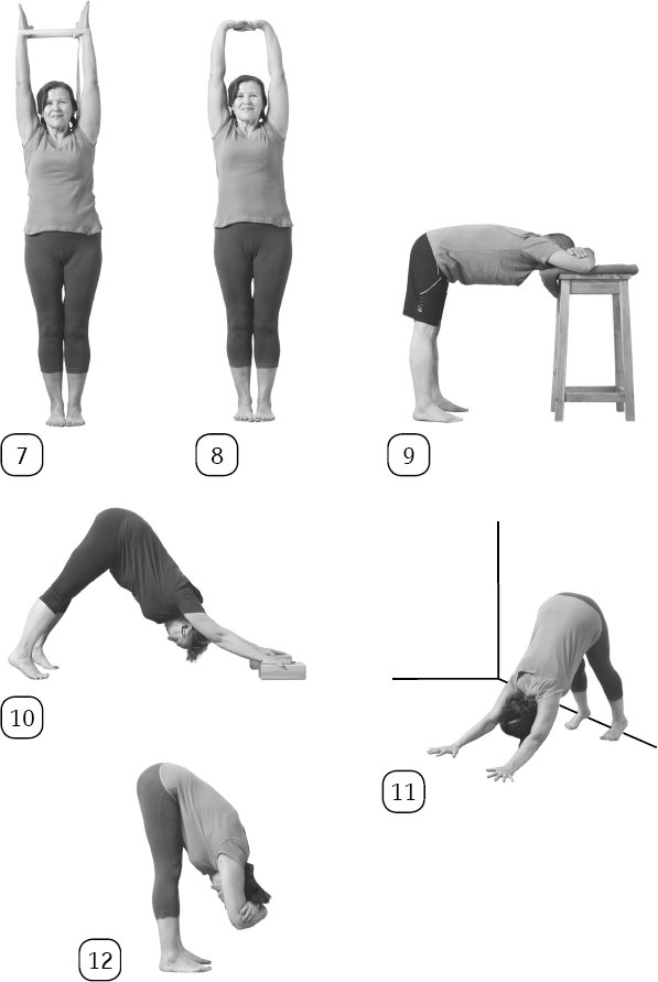 Иллюстрация к книге — Йога: здоровое долголетие, или Как оставаться молодым и бодрым [_118.jpg]