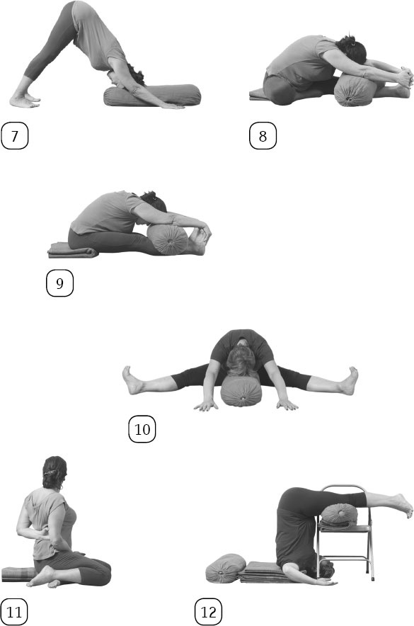 Иллюстрация к книге — Йога: здоровое долголетие, или Как оставаться молодым и бодрым [_131.jpg]