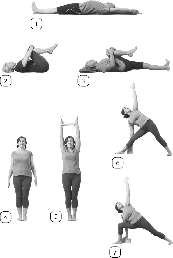 Иллюстрация к книге — Йога: здоровое долголетие, или Как оставаться молодым и бодрым [_139.jpg]