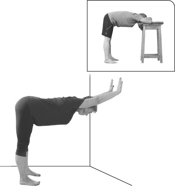 Иллюстрация к книге — Йога: здоровое долголетие, или Как оставаться молодым и бодрым [_18.jpg]