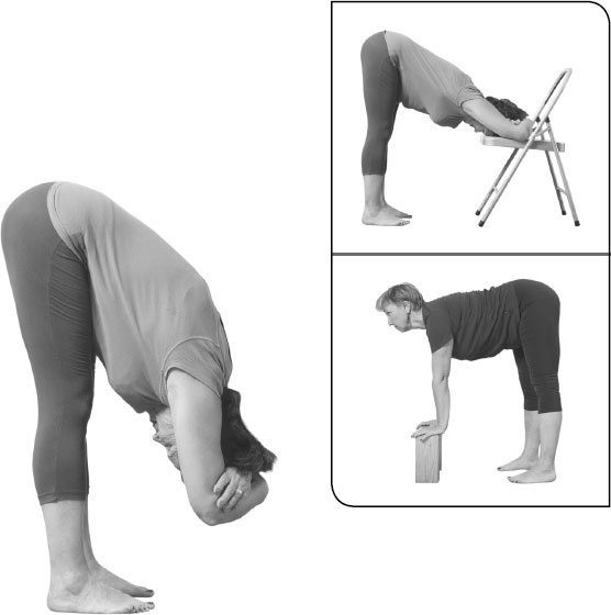 Иллюстрация к книге — Йога: здоровое долголетие, или Как оставаться молодым и бодрым [_20.jpg]